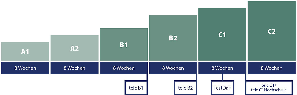 Carl Duisberg Kurssystem - Durchschnittliche Lernfortschrittsdauer pro Stufe